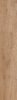 Epicentr Newcastle Gold 19,8x120